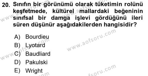 Toplumsal Tabakalaşma ve Eşitsizlik Dersi 2023 - 2024 Yılı (Final) Dönem Sonu Sınavı 20. Soru