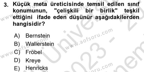 Toplumsal Tabakalaşma ve Eşitsizlik Dersi 2023 - 2024 Yılı (Final) Dönem Sonu Sınavı 3. Soru