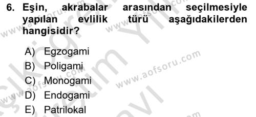 Aile Sosyolojisi Dersi 2021 - 2022 Yılı Yaz Okulu Sınavı 6. Soru