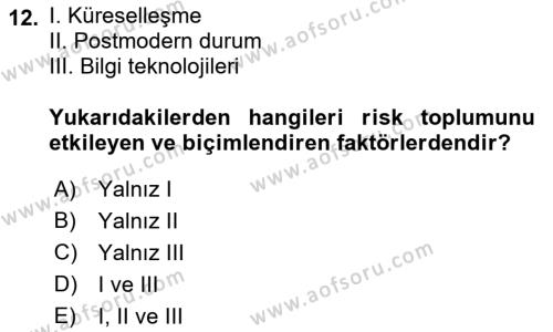 Endüstri Sosyolojisi Dersi 2021 - 2022 Yılı Yaz Okulu Sınavı 12. Soru