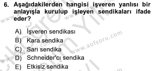 Endüstri Sosyolojisi Dersi 2021 - 2022 Yılı Yaz Okulu Sınavı 6. Soru