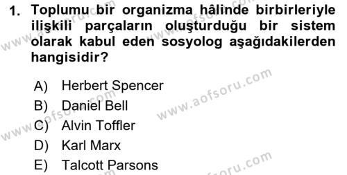 Endüstri Sosyolojisi Dersi 2022 - 2023 Yılı Yaz Okulu Sınavı 1. Soru