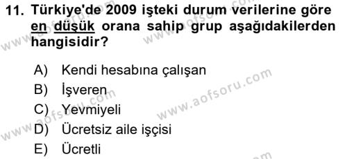 Endüstri Sosyolojisi Dersi 2022 - 2023 Yılı Yaz Okulu Sınavı 11. Soru