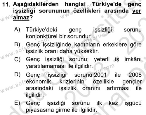 Endüstri Sosyolojisi Dersi 2023 - 2024 Yılı (Vize) Ara Sınavı 11. Soru