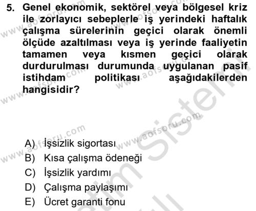 Endüstri Sosyolojisi Dersi 2023 - 2024 Yılı (Vize) Ara Sınavı 5. Soru