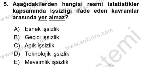 Endüstri Sosyolojisi Dersi 2023 - 2024 Yılı (Final) Dönem Sonu Sınavı 5. Soru