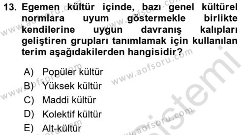 Kültür Sosyolojisi Dersi 2020 - 2021 Yılı Yaz Okulu Sınavı 13. Soru