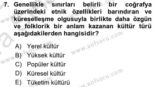 Kültür Sosyolojisi Dersi 2021 - 2022 Yılı (Vize) Ara Sınavı 7. Soru