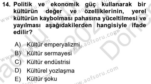 Kültür Sosyolojisi Dersi 2021 - 2022 Yılı (Final) Dönem Sonu Sınavı 14. Soru