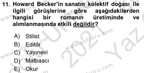 Kültür Sosyolojisi Dersi 2021 - 2022 Yılı Yaz Okulu Sınavı 11. Soru