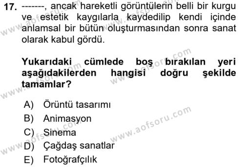 Kültür Sosyolojisi Dersi 2021 - 2022 Yılı Yaz Okulu Sınavı 17. Soru