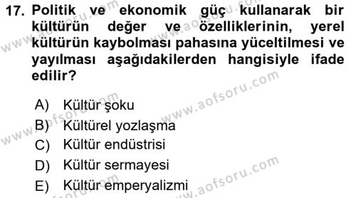 Kültür Sosyolojisi Dersi 2022 - 2023 Yılı (Final) Dönem Sonu Sınavı 17. Soru