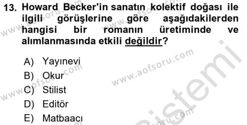 Kültür Sosyolojisi Dersi 2022 - 2023 Yılı Yaz Okulu Sınavı 13. Soru