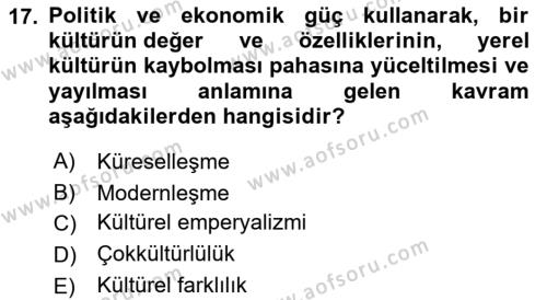 Kültür Sosyolojisi Dersi 2022 - 2023 Yılı Yaz Okulu Sınavı 17. Soru