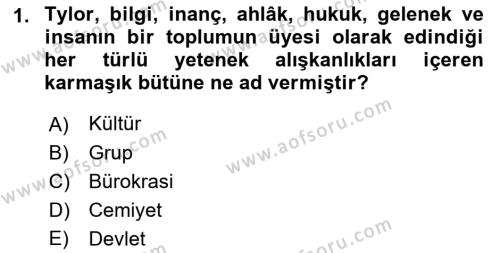 Kültür Sosyolojisi Dersi 2023 - 2024 Yılı (Vize) Ara Sınavı 1. Soru