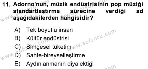 Kültür Sosyolojisi Dersi 2023 - 2024 Yılı (Final) Dönem Sonu Sınavı 11. Soru