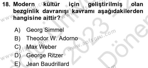 Kültür Sosyolojisi Dersi 2023 - 2024 Yılı (Final) Dönem Sonu Sınavı 18. Soru