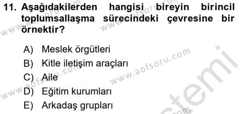 Kültür Sosyolojisi Dersi 2024 - 2025 Yılı (Vize) Ara Sınavı 11. Soru