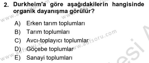 Kültür Sosyolojisi Dersi 2024 - 2025 Yılı (Vize) Ara Sınavı 2. Soru