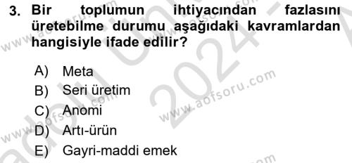 Kültür Sosyolojisi Dersi 2024 - 2025 Yılı (Vize) Ara Sınavı 3. Soru