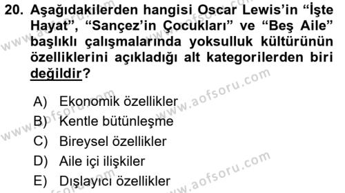 Kent Sosyolojisi Dersi 2023 - 2024 Yılı (Vize) Ara Sınavı 20. Soru