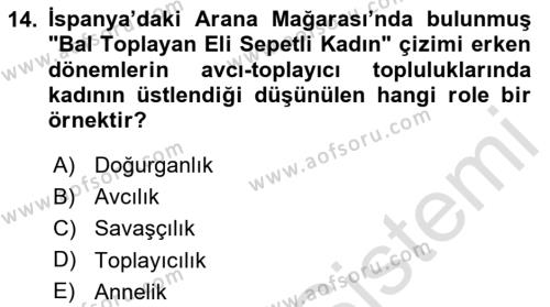 Toplumsal Cinsiyet Çalışmaları Dersi 2020 - 2021 Yılı Yaz Okulu Sınavı 14. Soru