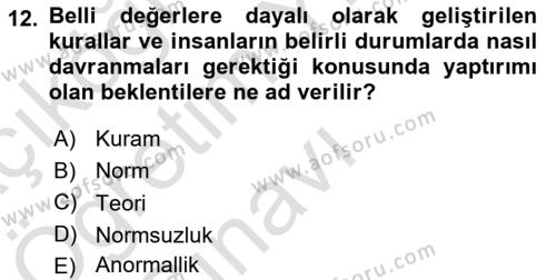 Toplumsal Cinsiyet Çalışmaları Dersi 2021 - 2022 Yılı Yaz Okulu Sınavı 12. Soru