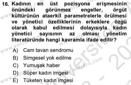 Toplumsal Cinsiyet Çalışmaları Dersi 2023 - 2024 Yılı (Final) Dönem Sonu Sınavı 16. Soru