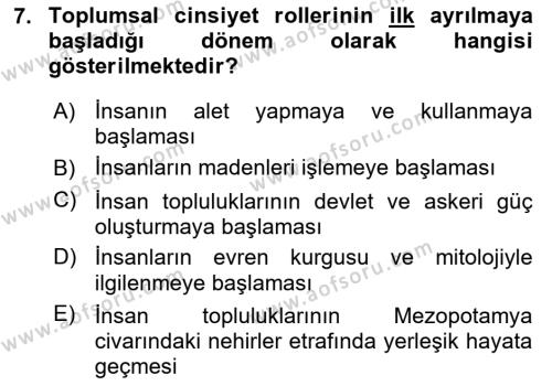 Toplumsal Cinsiyet Çalışmaları Dersi 2023 - 2024 Yılı (Final) Dönem Sonu Sınavı 7. Soru