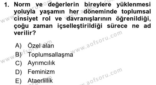 Toplumsal Cinsiyet Sosyolojisi Dersi 2023 - 2024 Yılı (Vize) Ara Sınavı 1. Soru