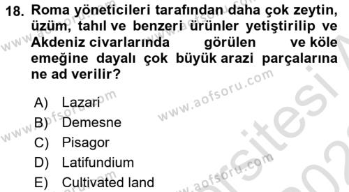 Din ve Toplum Dersi 2021 - 2022 Yılı (Vize) Ara Sınavı 18. Soru