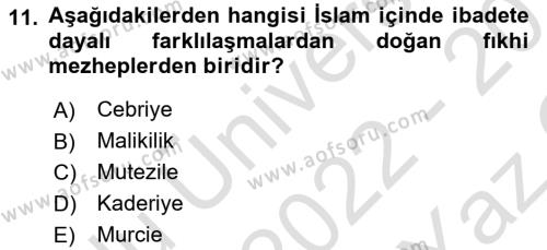 Din ve Toplum Dersi 2022 - 2023 Yılı Yaz Okulu Sınavı 11. Soru