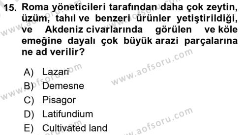 Din ve Toplum Dersi 2023 - 2024 Yılı (Vize) Ara Sınavı 15. Soru