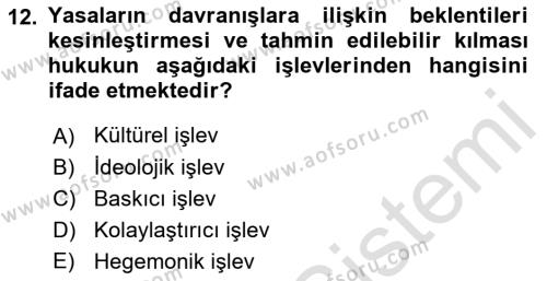 Hukuk Sosyolojisi Dersi 2022 - 2023 Yılı Yaz Okulu Sınavı 12. Soru