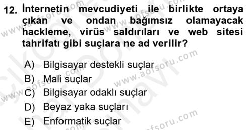 Suç Sosyolojisi Dersi 2018 - 2019 Yılı (Final) Dönem Sonu Sınavı 12. Soru