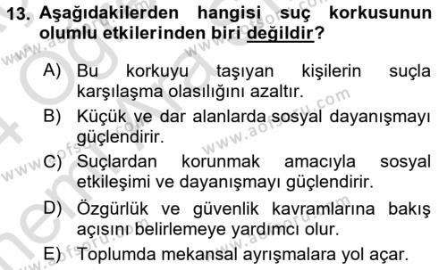 Suç Sosyolojisi Dersi 2023 - 2024 Yılı (Vize) Ara Sınavı 13. Soru