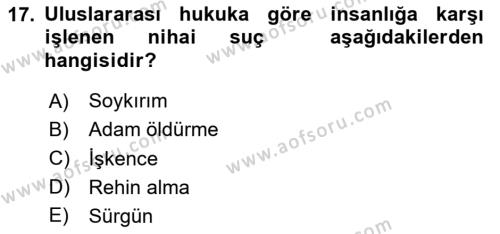 Suç Sosyolojisi Dersi 2023 - 2024 Yılı (Vize) Ara Sınavı 17. Soru