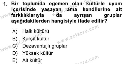 Türkiye´nin Toplumsal Yapısı Dersi 2021 - 2022 Yılı Yaz Okulu Sınavı 1. Soru