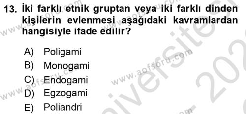 Türkiye´nin Toplumsal Yapısı Dersi 2021 - 2022 Yılı Yaz Okulu Sınavı 13. Soru