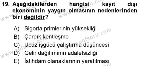 Türkiye´nin Toplumsal Yapısı Dersi 2021 - 2022 Yılı Yaz Okulu Sınavı 19. Soru