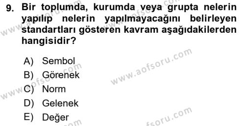 Türkiye´nin Toplumsal Yapısı Dersi 2021 - 2022 Yılı Yaz Okulu Sınavı 9. Soru