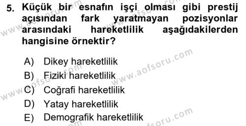 Türkiye´nin Toplumsal Yapısı Dersi 2023 - 2024 Yılı (Vize) Ara Sınavı 5. Soru