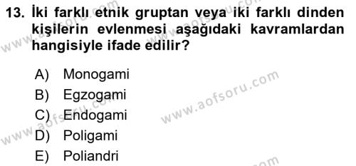 Türkiye´nin Toplumsal Yapısı Dersi 2023 - 2024 Yılı Yaz Okulu Sınavı 13. Soru