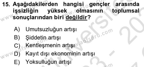 Türkiye´nin Toplumsal Yapısı Dersi 2023 - 2024 Yılı Yaz Okulu Sınavı 15. Soru