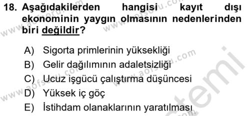 Türkiye´nin Toplumsal Yapısı Dersi 2023 - 2024 Yılı Yaz Okulu Sınavı 18. Soru