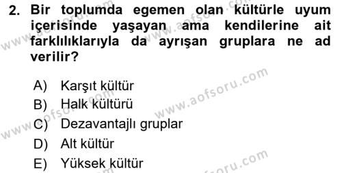 Türkiye´nin Toplumsal Yapısı Dersi 2023 - 2024 Yılı Yaz Okulu Sınavı 2. Soru