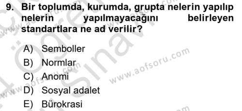 Türkiye´nin Toplumsal Yapısı Dersi 2023 - 2024 Yılı Yaz Okulu Sınavı 9. Soru