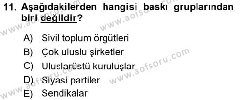 Türkiye´nin Toplumsal Yapısı Dersi 2024 - 2025 Yılı (Vize) Ara Sınavı 11. Soru