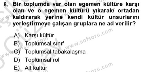 Türkiye´nin Toplumsal Yapısı Dersi 2024 - 2025 Yılı (Vize) Ara Sınavı 8. Soru