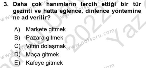 Sosyal Davranış ve Protokol Dersi 2022 - 2023 Yılı Yaz Okulu Sınavı 3. Soru